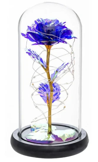 Beauty and The Beast Preserved Roses